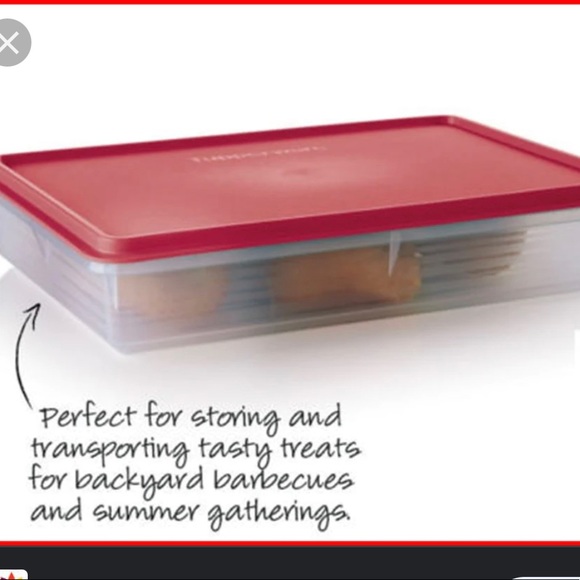 TUPPERWARE Snack-Stor Large container - Picture 1 of 4